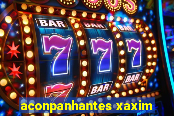 aconpanhantes xaxim